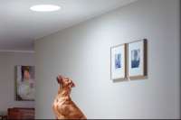 Изобретен новый вид освещения: световые туннели