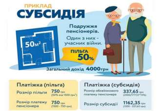 Субсидию можно заменить льготой