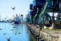 Николаевский порт заказал строительство причала