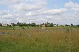 Ущерб от использования земель под Киевом составил 100 тыс. грн.