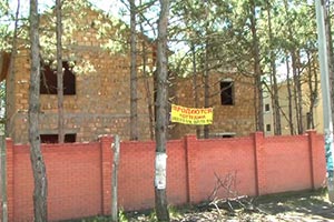 Под Николаевом вовсю раздают лесные земли