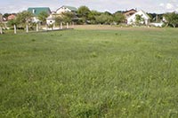 В Киевской области участникам АТО могут дать 400 га земли