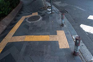 Во Львове представили инфраструктуру для слепых