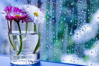 Почему одни окна «плачут», а другие «не плачут». Видео