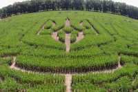 Земли продали уже на 5 млрд. грн.