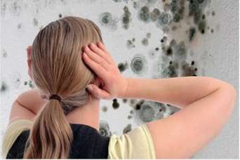 Избавляемся от плесени с помощью экструдированного пенополистирола