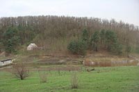 В Киевской области 9 га леса захватили под жилстроительство