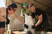 Львiв продовжує практику покращення громадського простору