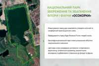 Киев поддержит создание парка в Дарницком районе