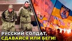 Позор русскому офицерству! Видео