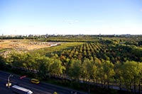 В «Пуща-Водице» госземли раздали под личное хозяйство