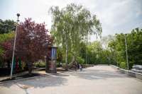 Пейзажную аллею в очередной раз обновили