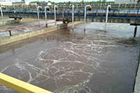 Реконструкция Бортнической станции аэрации займет не менее 5 лет