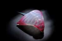 Здания будущего смогут менять форму