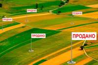 ВБ и ЕС предвкушают открытие земельного рынка