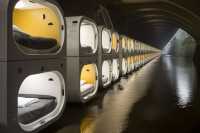 Бездомных хотят в прямом смысле поселить под мостами