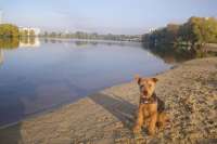 Озеро «Солнечное» грозит жителям Позняков наводнением