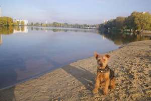 Озеро «Солнечное» грозит жителям Позняков наводнением