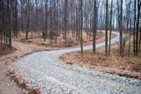 Под Сумами реконструируют лыжероллерную трассу