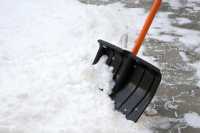 Незаконные МАФы отошли на второй план