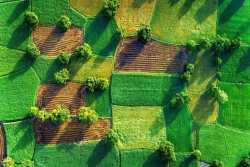 Во Львовской области - самая дорогая земля