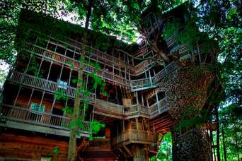 Самый большой дом в мире, построенный на дереве. Фото