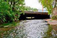 На мосты и дороги Киев выделил 507 млн. грн.