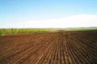 Фермерам дадут по 21 га на брата