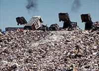 В Киеве за 60 млн. грн. наведут порядок на свалке