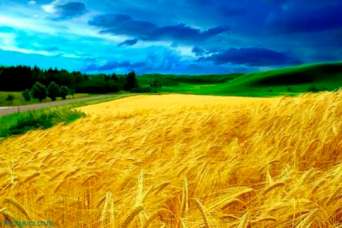 Как классифицируются земли Украины, в зависимости от целевого назначения