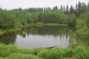 Фермеры самовольно построили водохранилище