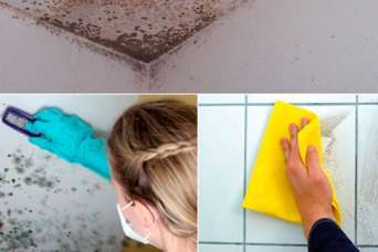 Как избавиться от плесени с помощью экструдированного пенополистирола. Окончание