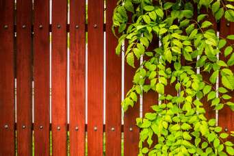 Дерев’яна огорожа в саду