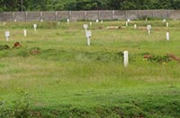 Земли умерших граждан с легкой руки чиновников достались фермерскому хозяйству