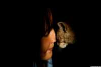 Что происходит в России с кормами для животных из-за войны