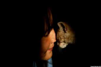 Что происходит в России с кормами для животных из-за войны