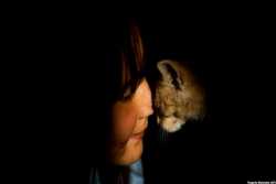 Что происходит в России с кормами для животных из-за войны