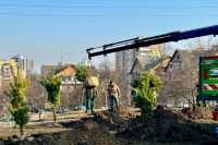 Київ почали озеленяти