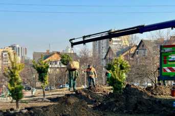 Київ почали озеленяти