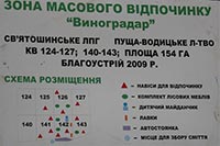 Подольские коммунальщики активизировались
