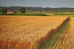 Закон о земле нужен для избежания дефолта