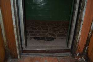 Как украсть миллион на ремонте лифтов