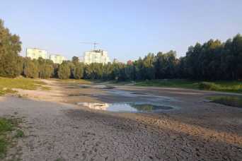 &quot;Плесо&quot; не зможе самостiйно розчистити озеро Синє