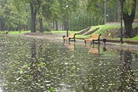 Каждый парк Киева будет уникальным