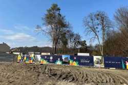 У Львовi вилазять проблеми iз незаконним зрiзом дерев