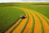 Госсельхозземли разрешили сдавать в аренду