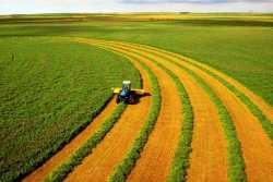 Госсельхозземли разрешили сдавать в аренду