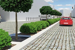 За полтора месяца на озеленение улицы во Львове собрали 10 тыс. грн.