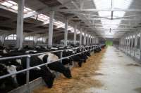 Что начали строить в Полтавской области