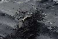 Безуглеродный бетон создадут к 2025 г.